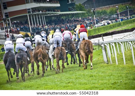 final rush of a steeplechase horse race