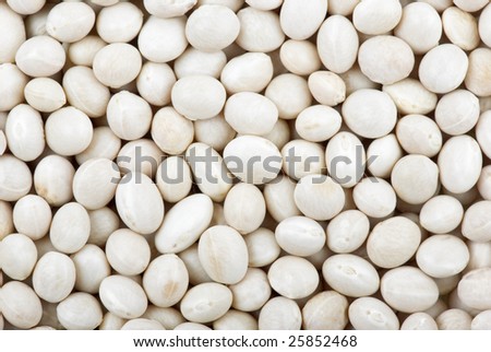 Abstract background of round white haricot beans