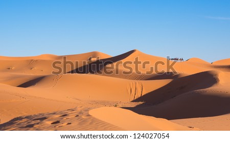 Side view of camel caravan on desert