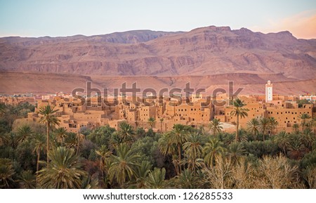 cultivated fields and palms at sunset in Tinerhir Dades Valley Morocco North Africa Africa