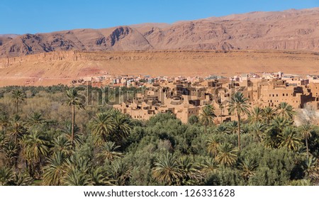 Cultivated fields and palms in Tinerhir Dades Valley Morocco North Africa Africa