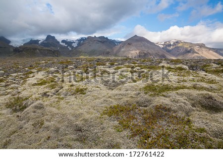 The expansive moss-covered lava fields and mountain in Iceland (focus on moss, out of focus mountains)