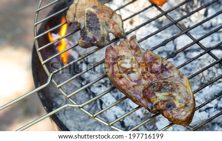 Closeup of turkey steaks on home grill and fire, shallow depth of field
