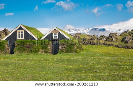 Scandinavian houses with grass on the roof in Iceland
