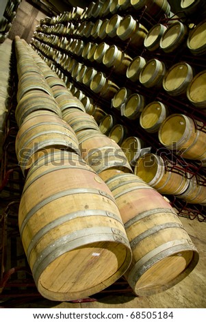 wine cellar in spain
