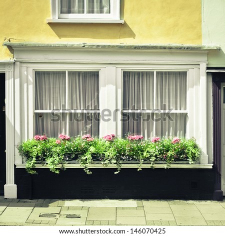 Selection of plants on a cottage window ledge