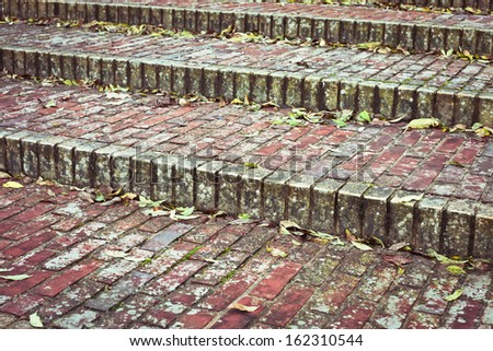 Stone steps with fallen leaves