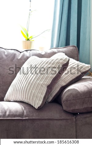 Brown and white cushions on a soft home sofa