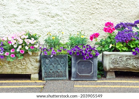 Selection of colorful flowers in garden containers