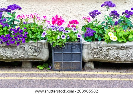 Selection of colorful flowers in garden containers