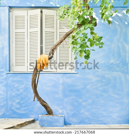 Outside of a traditional house in Greece with a mop hanging on a grape vine