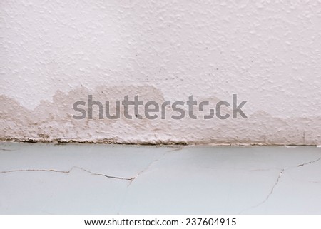 Spreading damp and rot on a ceiling due to a water leak
