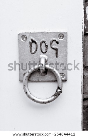 A ring on a wall for tying a dog lead in black and white