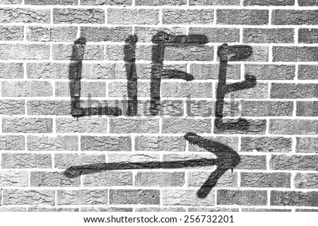 Life painted on a brick wall  in black and white  in black and white