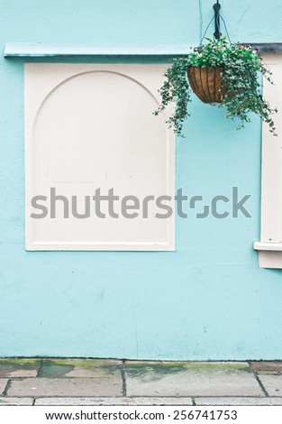 Hanging basket in front of a blue and white external wall