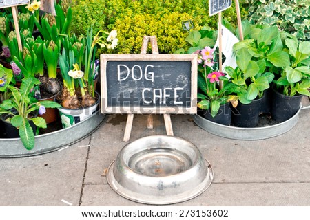 A water bowl for dogs and a sign at a florist shop in the UK