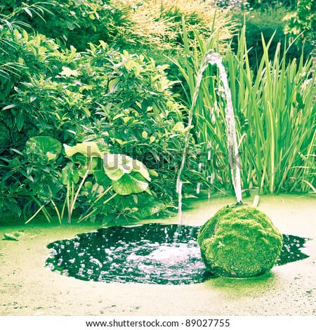 Water feature in an ornamental garden pond