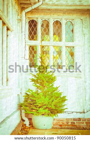 Nice textured image of a christmas tree outside a medieval english house