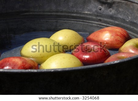 apples in a pail of water