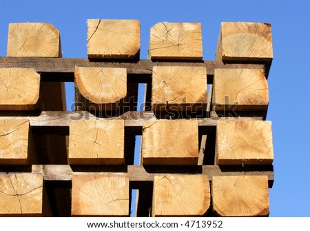 a stack of fresh cut railroad ties against blue sky