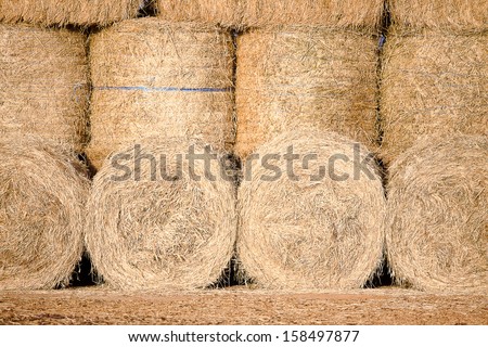 Rolled up Hay bales ready to feed the livestock on a farm in South Africa