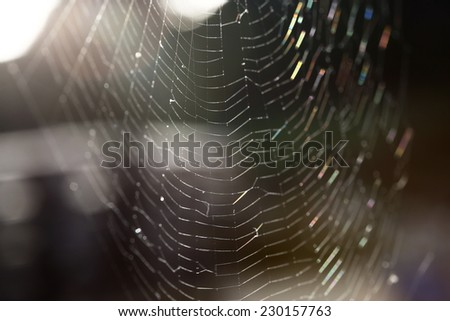 Closeup of a spider web in front of dark background