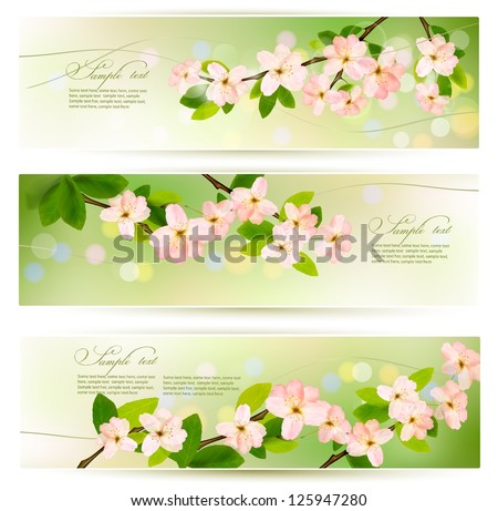 Three Spring Banners With Blossoming Tree Brunch With Spring Flowers. Vector Illustration.