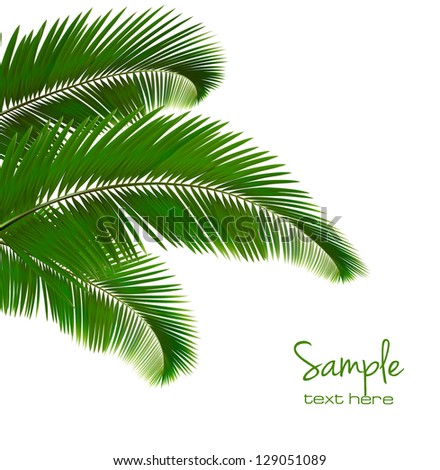Background with palm leaves Vector illustration Background with palm leaves Vector illustration