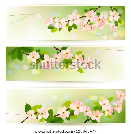 Three spring banners with blossoming tree brunch with spring flowers. Raster version of vector.