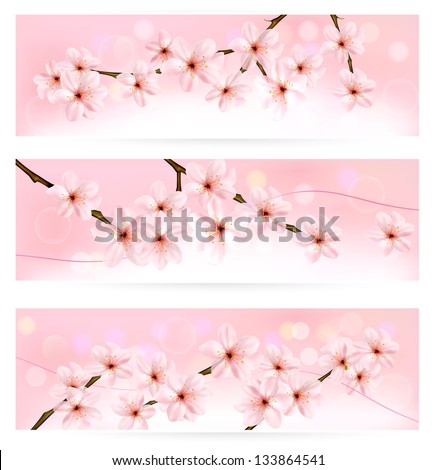Three spring banners with blossoming tree brunch with spring flowers. Raster version of vector .