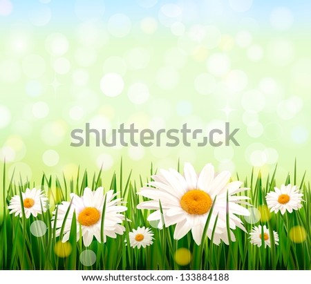 Nature background with green grass and flowers and blue sky. Raster version of vector