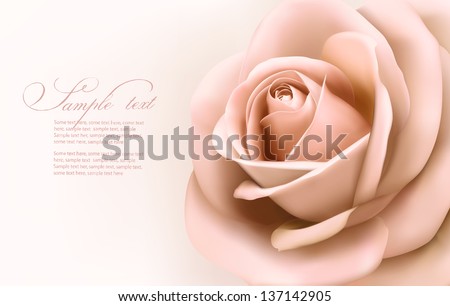 Vintage background with beautiful pink rose Vector illustration Vintage background with beautiful pink rose Vector illustration
