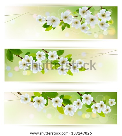 Three banners with blossoming tree branches. Raster version of vector.