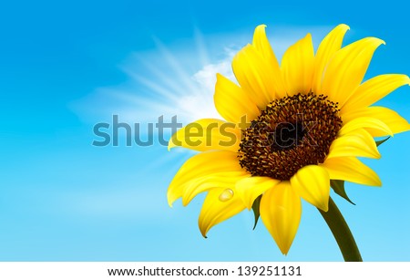 Background with sunflower field over cloudy blue sky. Raster version of vector.