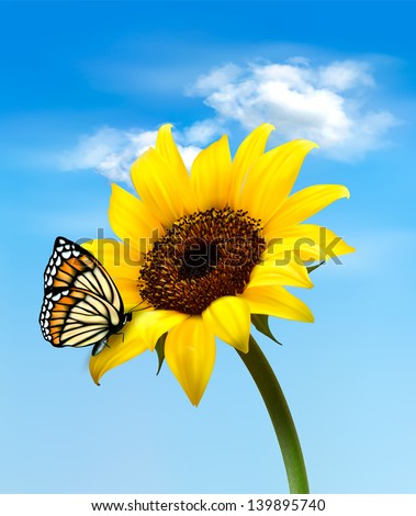 Nature summer sunflower flower with butterfly. Vector illustration.