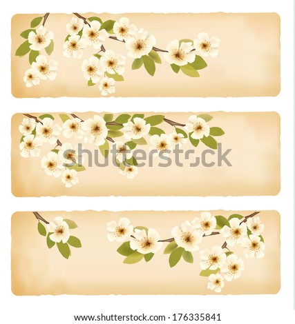 Three retro spring banners with blossoming tree brunch with spring flowers. Raster version