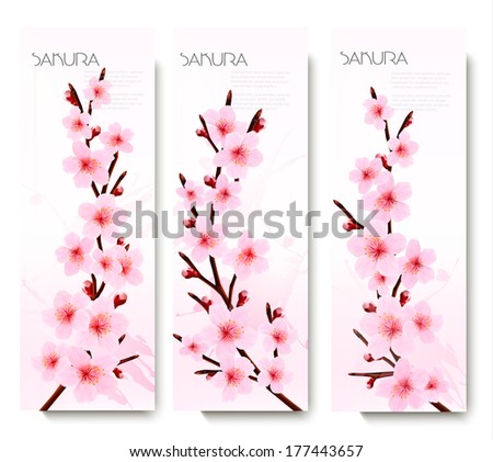 Three Spring Banners With Blossoming Sakura Branches. Vector Illustration.