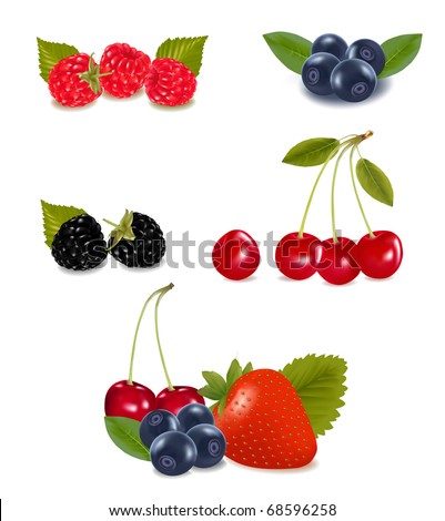 Fruits Berry