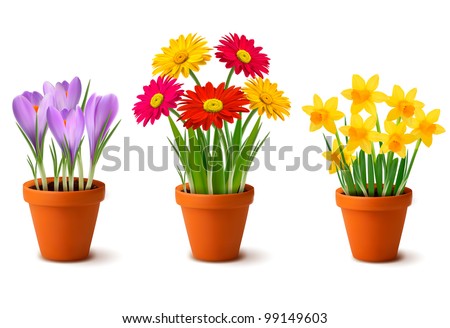 Flower Containers on Spring Colorful Flowers In Pots Vector   99149603   Shutterstock