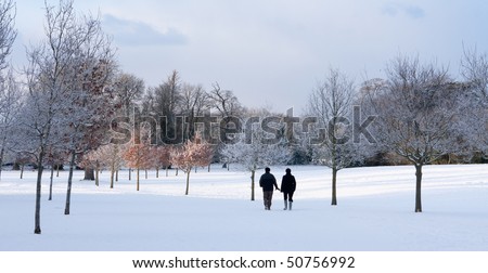 two people walking in a snow filled park among the trees