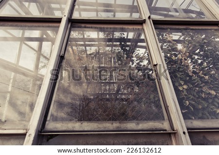 Old rusty glass walls windows of greenhouse in soft autumn colors
