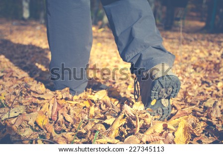 Close up of feet of a hiker walking in autumn leaves