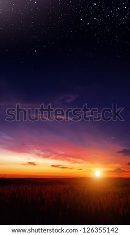 sunset in the field and the stars