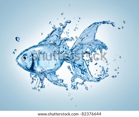 Water goldfish