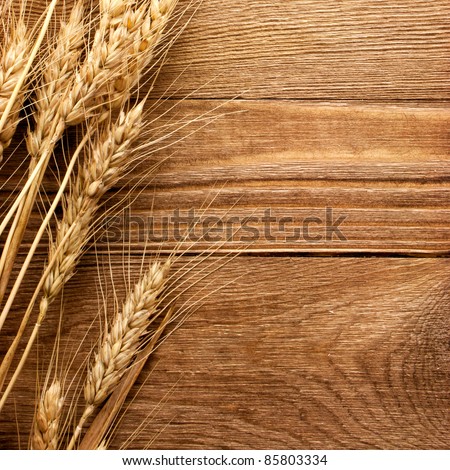 wheat on the wood background