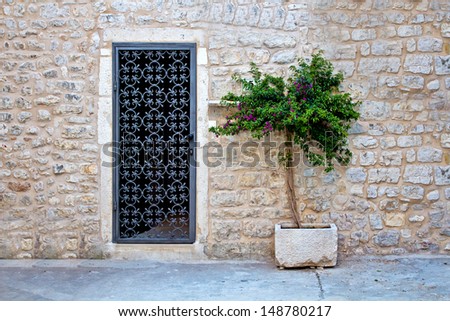 Home Door. Green Plant. Ancient Wall.