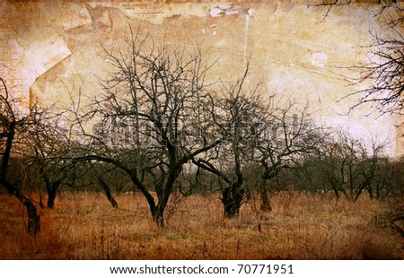 Vintage landscape with tree on grunge background