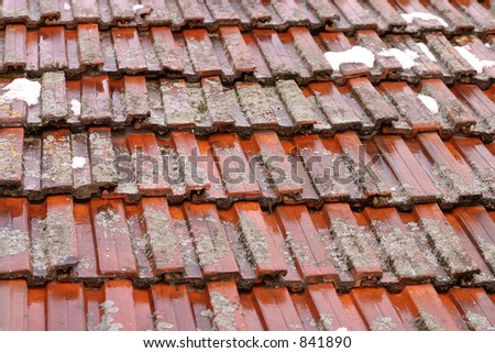Wet Roof Texture