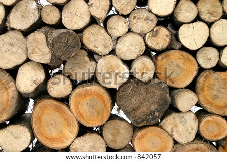 Pack of woods 1