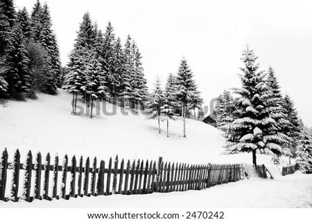 Black and white winter dream landscape